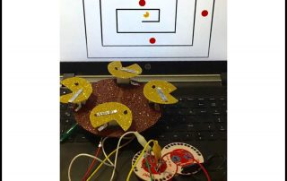 Pinoo Minoo ile Pacman